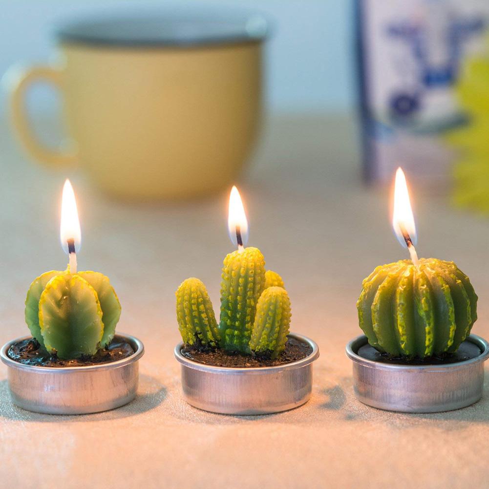 Succulent Candles