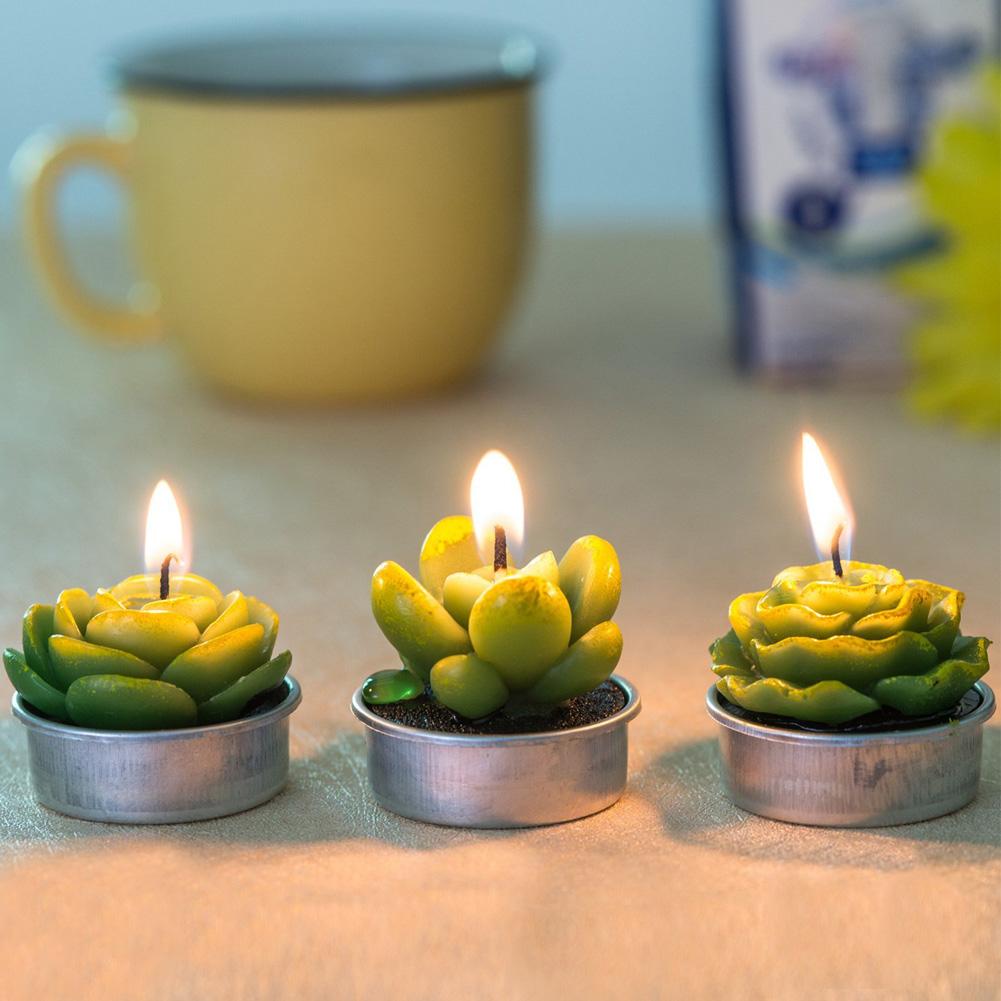 Succulent Candles